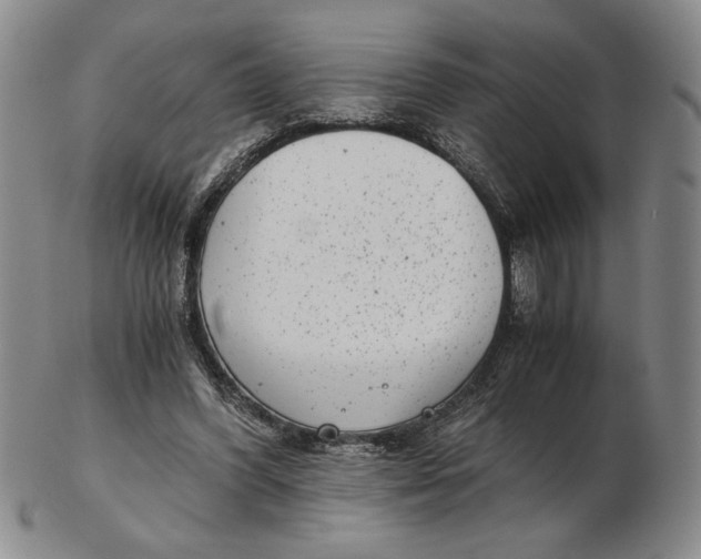 X0000102340396200808221635