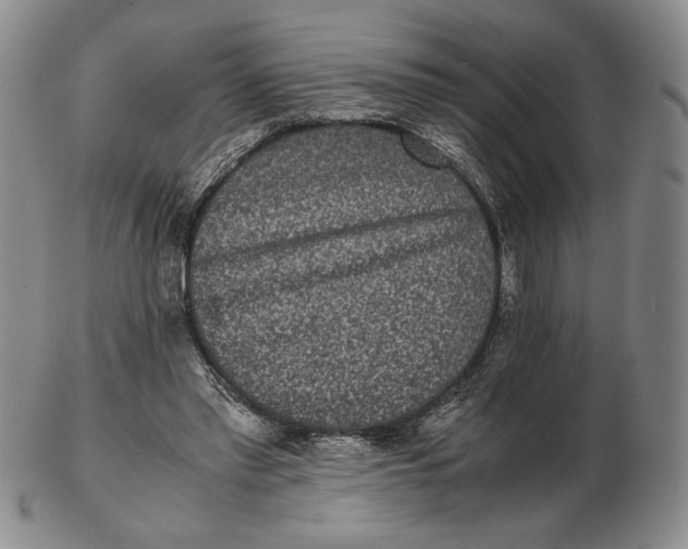 X0000102340397200808221635