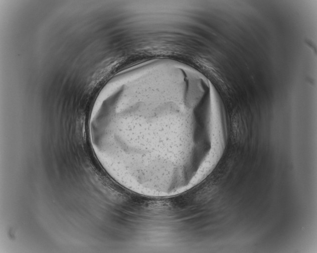 X0000102340398200808221635