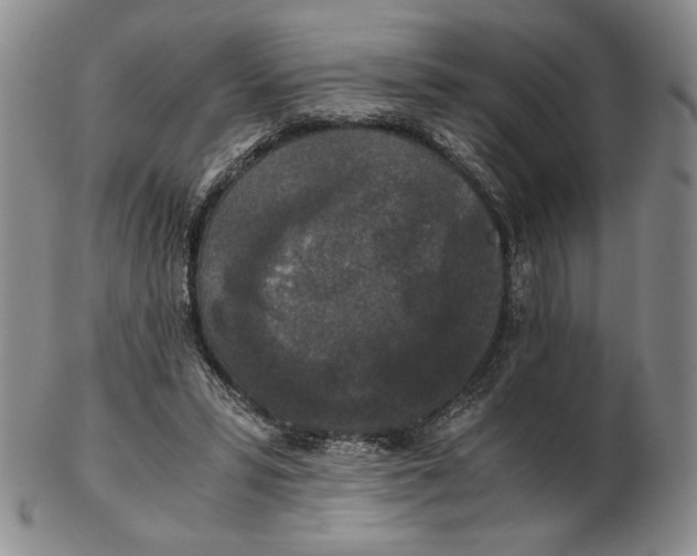 X0000102340399200808221635