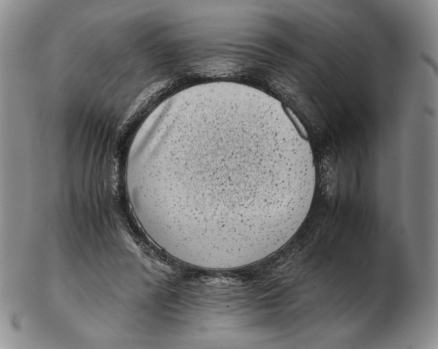 X0000102340400200808221635