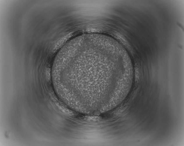 X0000102340401200808221635