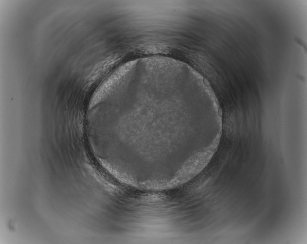 X0000102340402200808221635