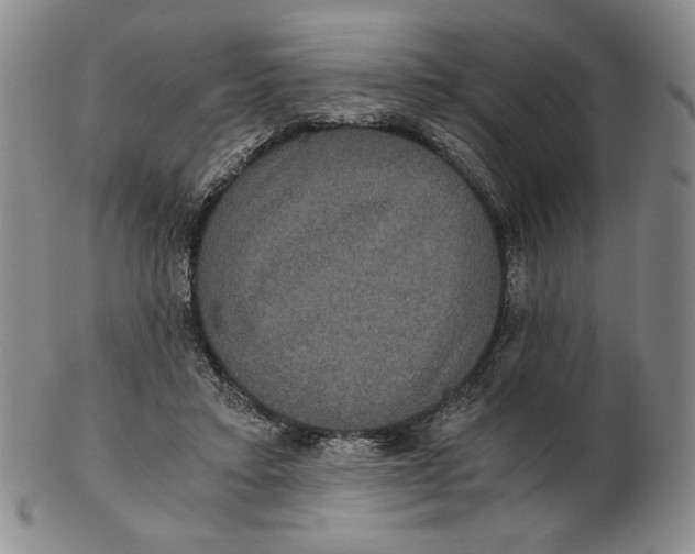 X0000102340403200808221635