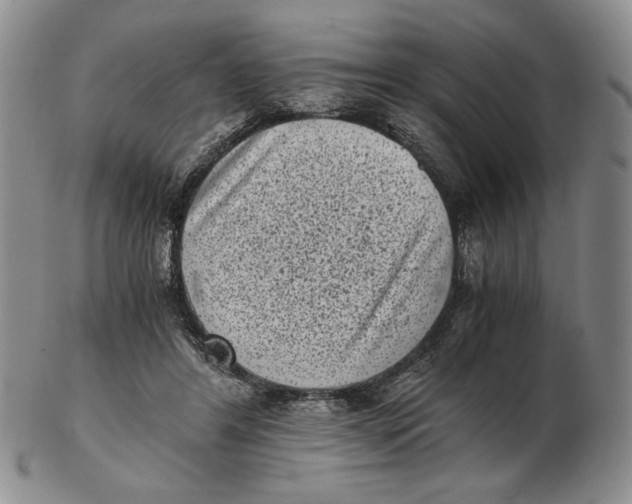 X0000102340404200808221635