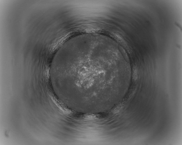 X0000102340405200808221635