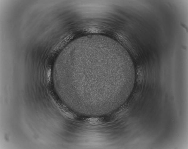 X0000102340406200808221635