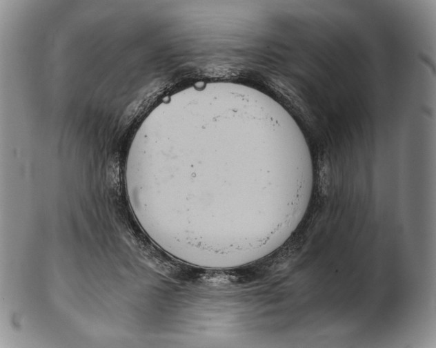 X0000102340407200808221635