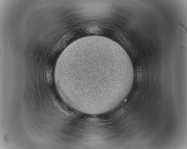 X0000102340408200808221635