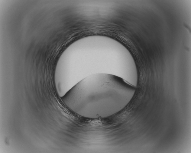 X0000102340409200808221635