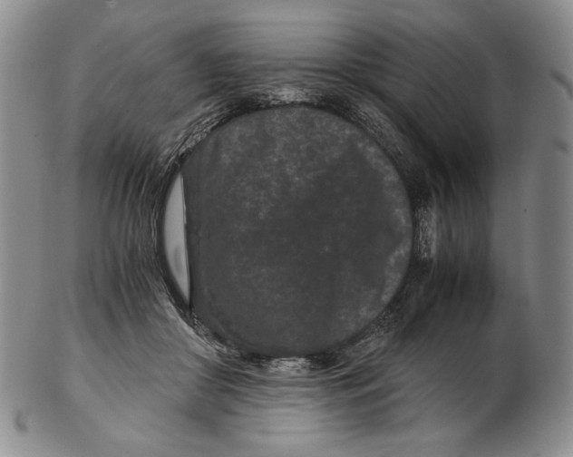 X0000102340410200808221635