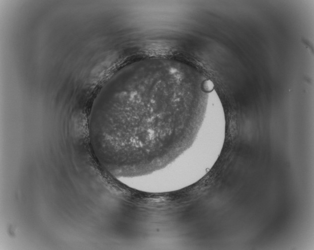 X0000102340411200808221635