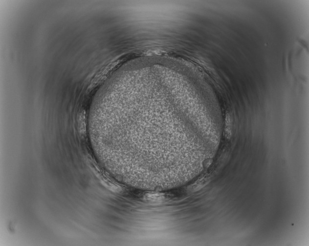 X0000102340413200808221635