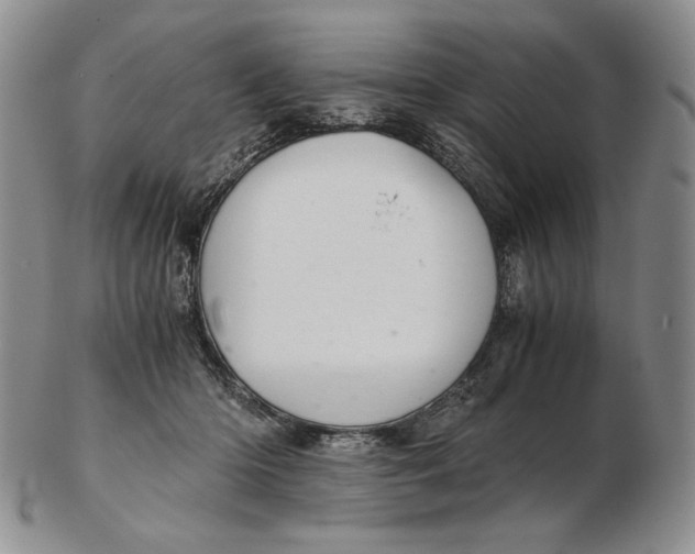 X0000102340414200808221635