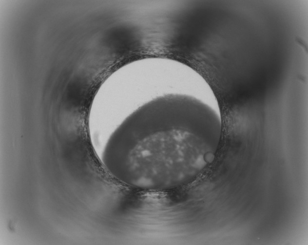 X0000102340415200808221635