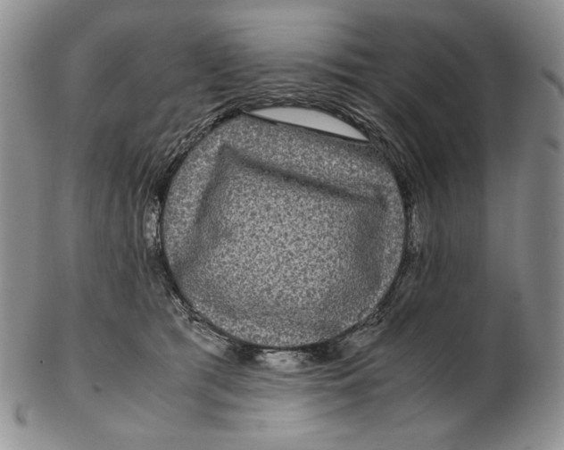 X0000102340417200808221635