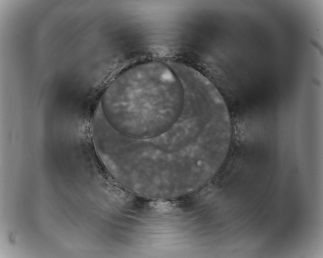 X0000102340419200808221635