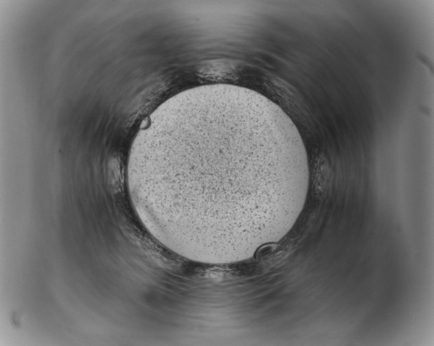 X0000102340420200808221635