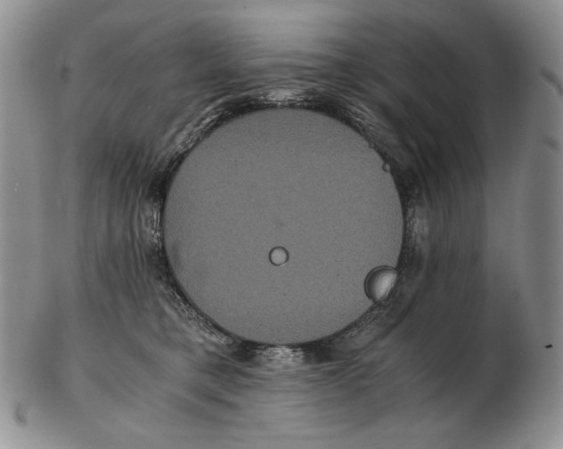 X0000102340421200808221635