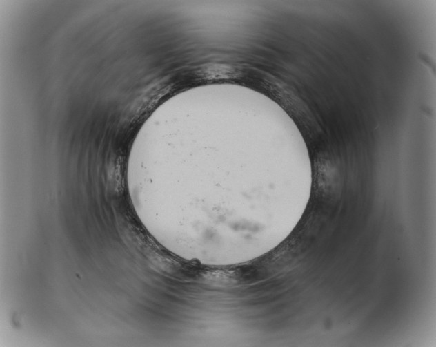 X0000102340422200808221635