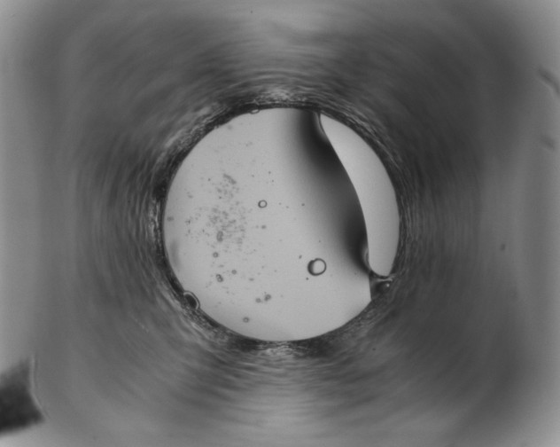 X0000102340423200808221635