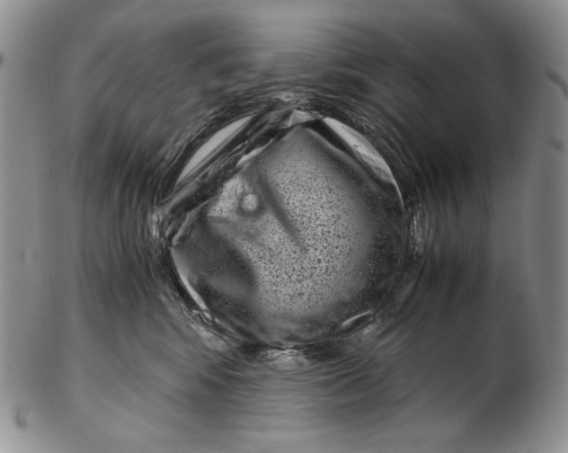 X0000102340424200808221635