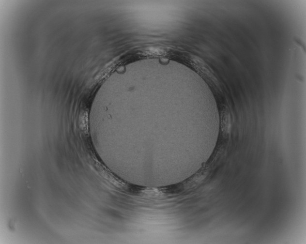 X0000102340425200808221635