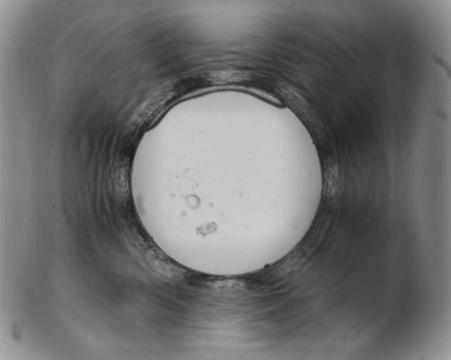 X0000102340426200808221635