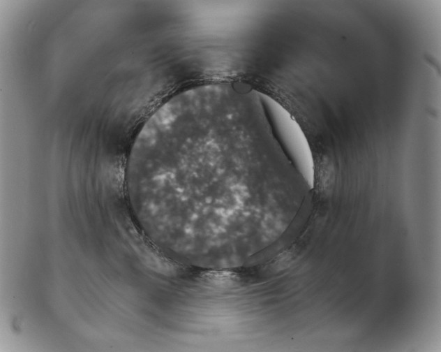 X0000102340427200808221635