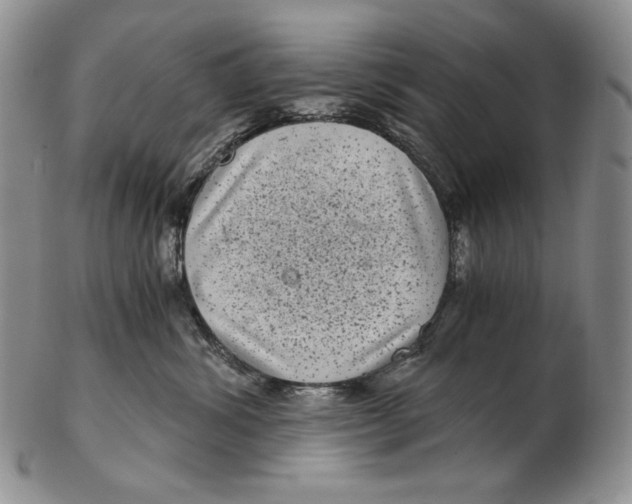 X0000102340428200808221635