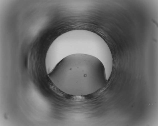 X0000102340429200808221635