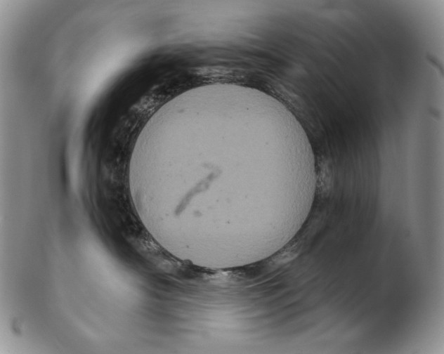 X0000102340430200808221635