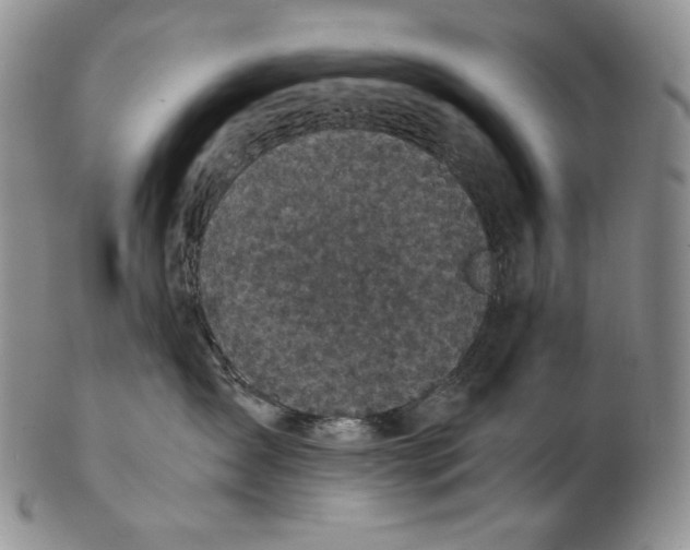 X0000102340431200808221635