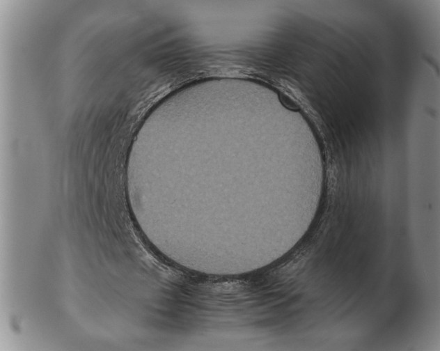 X0000102340433200808221634