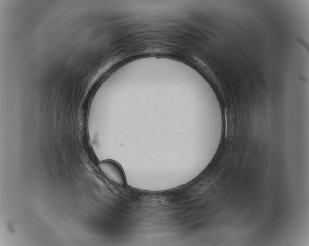 X0000102340435200808221634