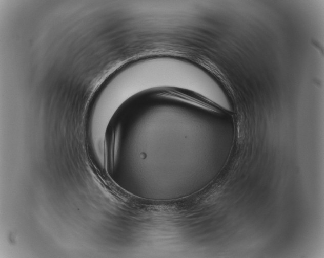 X0000102340436200808221634