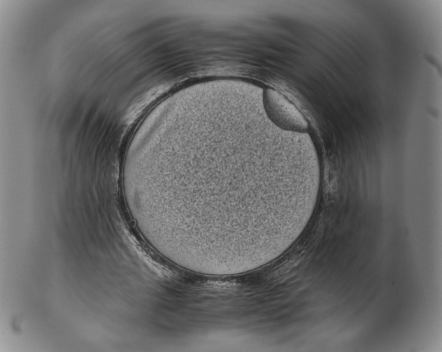 X0000102340437200808221634