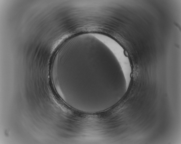 X0000102340438200808221634