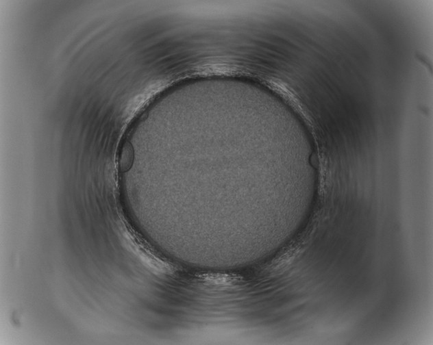 X0000102340439200808221634