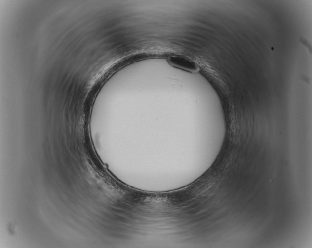 X0000102340440200808221634