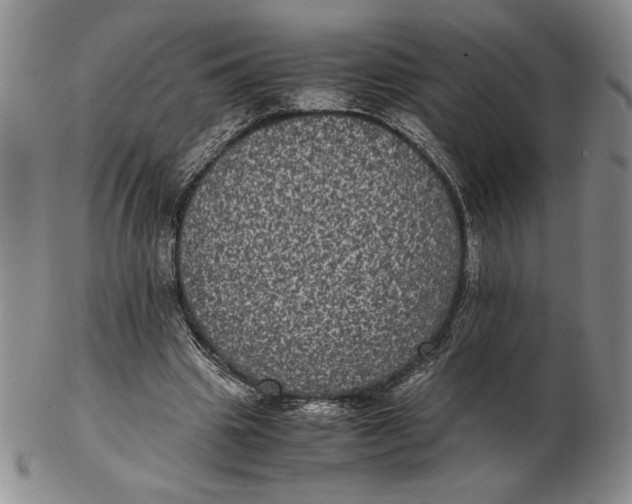 X0000102340441200808221634