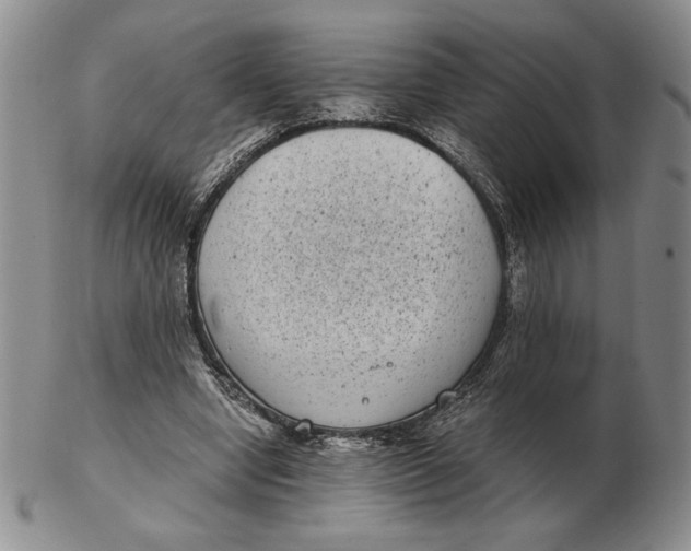 X0000102340442200808221634