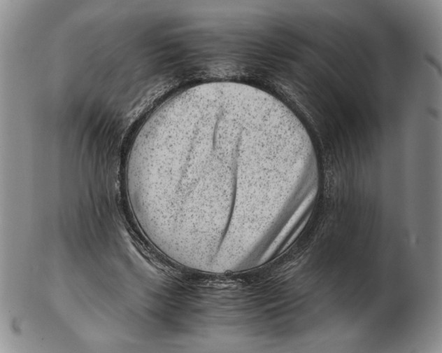 X0000102340443200808221634