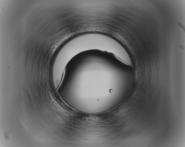 X0000102340444200808221634