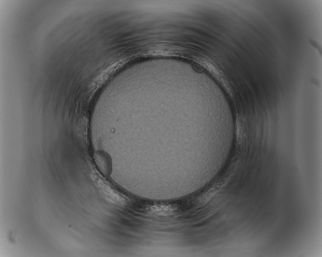 X0000102340445200808221634