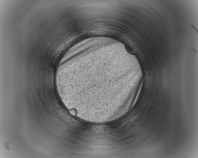 X0000102340446200808221634