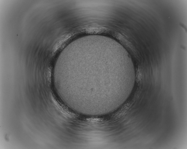 X0000102340448200808221634