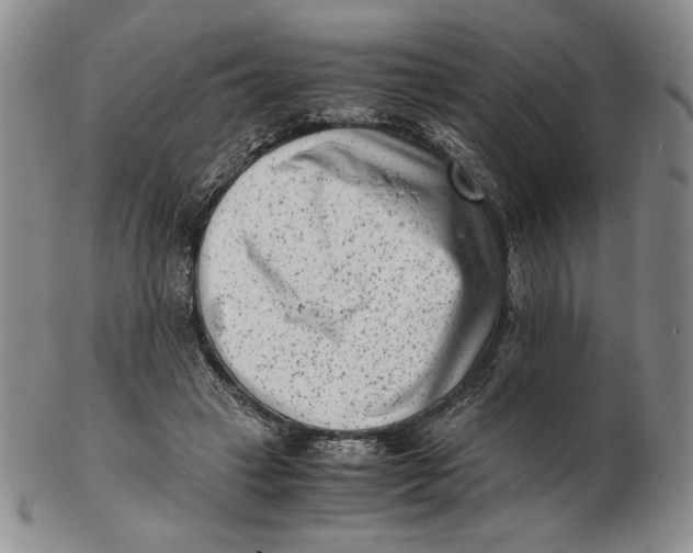 X0000102340449200808221634