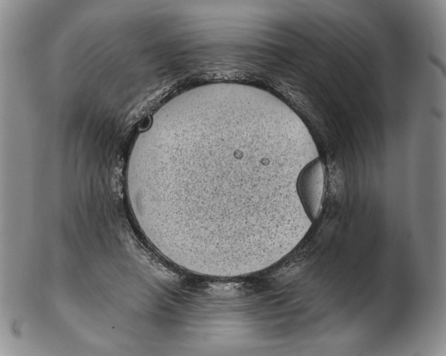 X0000102340450200808221634