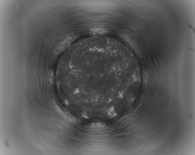 X0000102340451200808221634